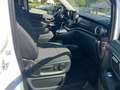Mercedes-Benz V 250 V -Klasse V 250 d EDITION 4M*LED*MBUX*R-Kam* Weiß - thumbnail 10