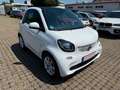 smart forTwo fortwo coupe Basis 52kW Weiß - thumbnail 1