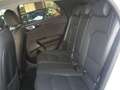 Kia XCeed 1.6 CRDi 136 CV DCT EVOLUTION Blanc - thumbnail 11