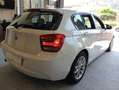 BMW 116 116d Sport Blanco - thumbnail 27