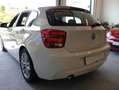 BMW 116 116d Sport Blanco - thumbnail 13