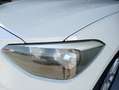 BMW 116 116d Sport Blanco - thumbnail 10