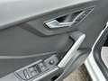 Audi Q2 1.6 TDI Business 115CV Bianco - thumbnail 6
