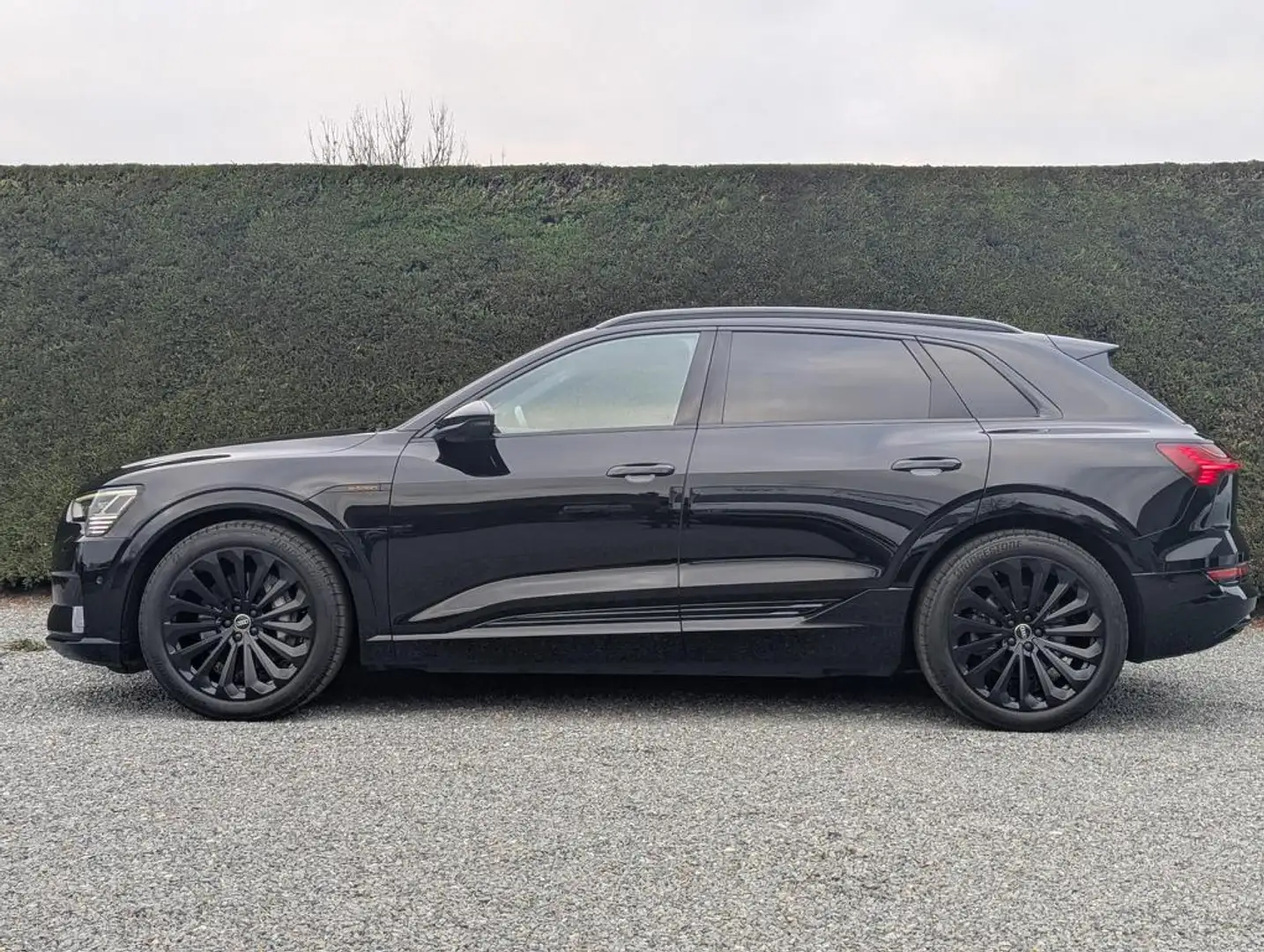Audi Q8 e-tron (Q8) e-tron -head up- ambiance - nachtcamera Noir - 2