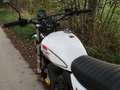 Mash X-Ride 650 Trail / Enduro 21'' Bianco - thumbnail 9