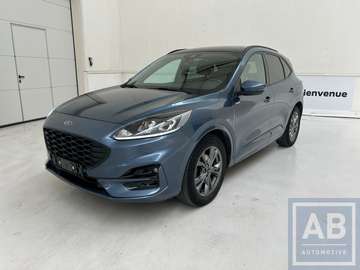 * ST LINE  / Garantie / Pano Dak  *