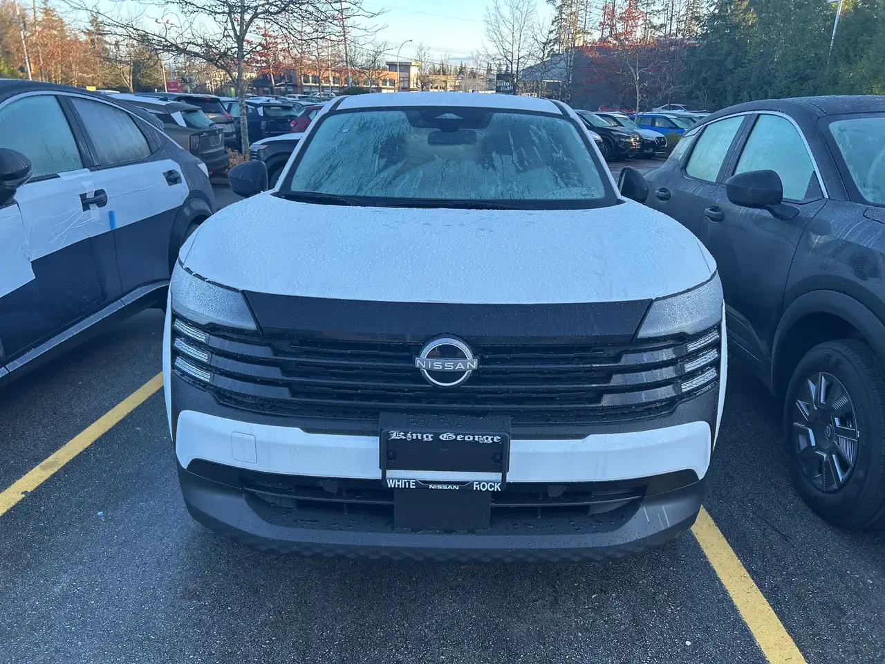 Nissan Kicks снимка Nissan Kicks