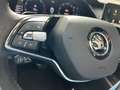 Skoda Octavia Combi 1.0 e-TSI 110pk Business Edition Plus | Lede Noir - thumbnail 16