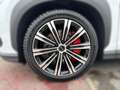 BYD Sealion 7 Excellence Österreic Wit - thumbnail 4
