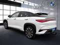 BYD Sealion 7 Excellence Österreic Wit - thumbnail 11