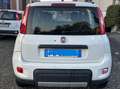 Fiat Panda Panda 0.9 t.air turbo 4x4 90cv PREZZO VERO Bianco - thumbnail 6