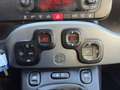Fiat Panda 1.2 EasyPower City Life GPL 69cv Grigio - thumbnail 17