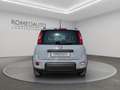 Fiat Panda 1.2 EasyPower City Life GPL 69cv Grigio - thumbnail 5