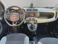 Fiat Panda 1.2 EasyPower City Life GPL 69cv Grigio - thumbnail 11