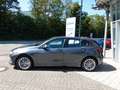 BMW 118 i Aut., Gestikst, Driving-Ass., Business-Prof Grau - thumbnail 6