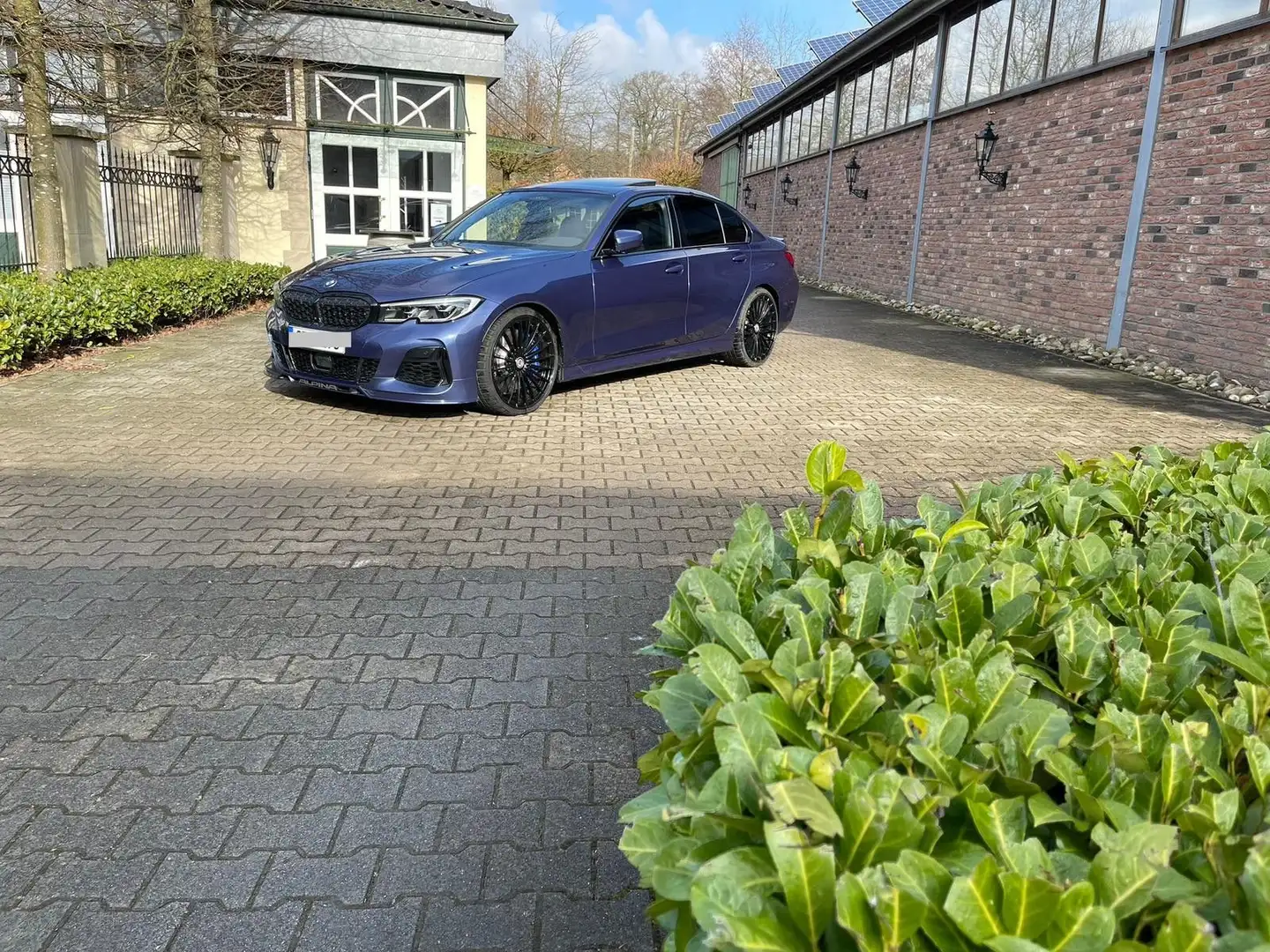 Alpina D3 S  Laser GSD  20´´ Zoll Blau - 2