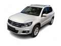 Volkswagen Tiguan Sport 2.0 TDI 4-Motion DSG AHK Grau - thumbnail 1