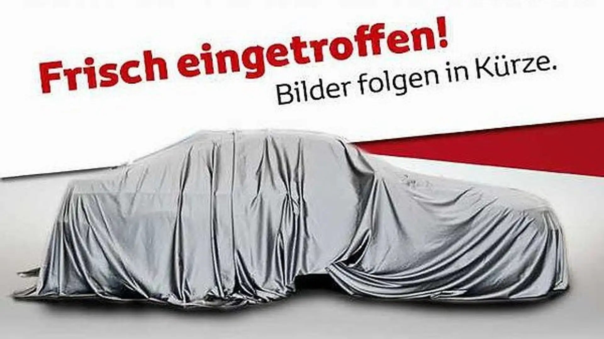 Volkswagen Tiguan Sport 2.0 TDI 4-Motion DSG AHK Grau - 2