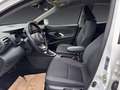 Toyota Yaris Hybrid 1.5 Dual VVT-iE  CLUB Wit - thumbnail 8