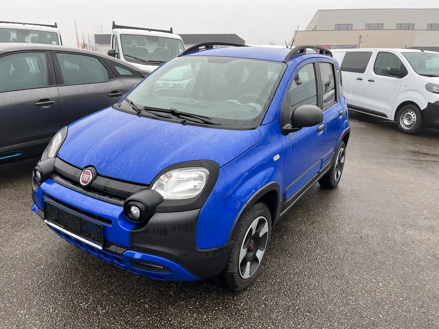 Fiat Panda City Cross 1,2 Easy Blau - 2