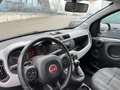 Fiat Panda City Cross 1,2 Easy Blau - thumbnail 9