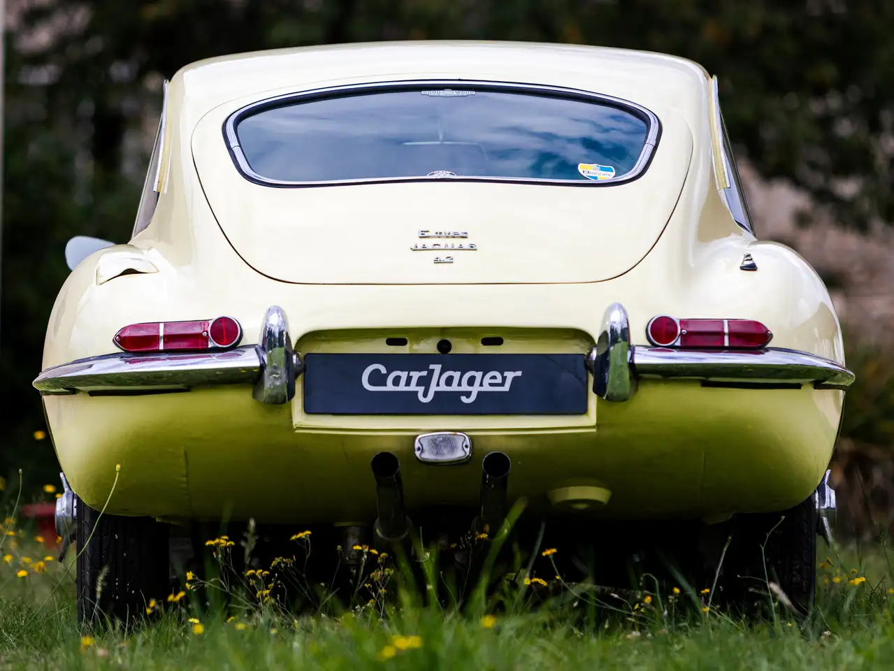 Jaguar E-Type Série 1.5 2+2, foto 9