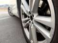 Audi Q7 3.0TDI Black line edition quattro Tip. 7pl. 160kW( Blanco - thumbnail 8