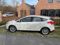 Ford Focus Electric Wit - thumbnail 13