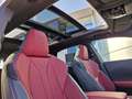 Lexus RX 500h F-Sport 4X4 *Panoramaschiebedach* Szürke - thumbnail 13