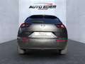 Mazda MX-30 Advantage Bluetooth Head Up Display Navi LED Grau - thumbnail 9