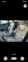 Skoda Octavia Combi 2,0 TDI 4x4 L&K DSG Laurin&Klement Schwarz - thumbnail 16
