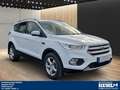 Ford Kuga 2.0 TDCI AT 4X4 AHK 2.100 kg Navi,Klimaauto, Wit - thumbnail 6