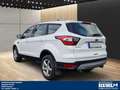 Ford Kuga 2.0 TDCI AT 4X4 AHK 2.100 kg Navi,Klimaauto, Wit - thumbnail 10