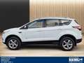 Ford Kuga 2.0 TDCI AT 4X4 AHK 2.100 kg Navi,Klimaauto, Wit - thumbnail 11