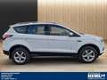Ford Kuga 2.0 TDCI AT 4X4 AHK 2.100 kg Navi,Klimaauto, Wit - thumbnail 7