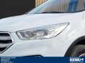 Ford Kuga 2.0 TDCI AT 4X4 AHK 2.100 kg Navi,Klimaauto, Wit - thumbnail 2