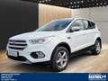 Ford Kuga 2.0 TDCI AT 4X4 AHK 2.100 kg Navi,Klimaauto, Wit - thumbnail 4