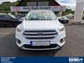 Ford Kuga 2.0 TDCI AT 4X4 AHK 2.100 kg Navi,Klimaauto, Wit - thumbnail 31