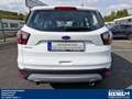 Ford Kuga 2.0 TDCI AT 4X4 AHK 2.100 kg Navi,Klimaauto, Wit - thumbnail 34