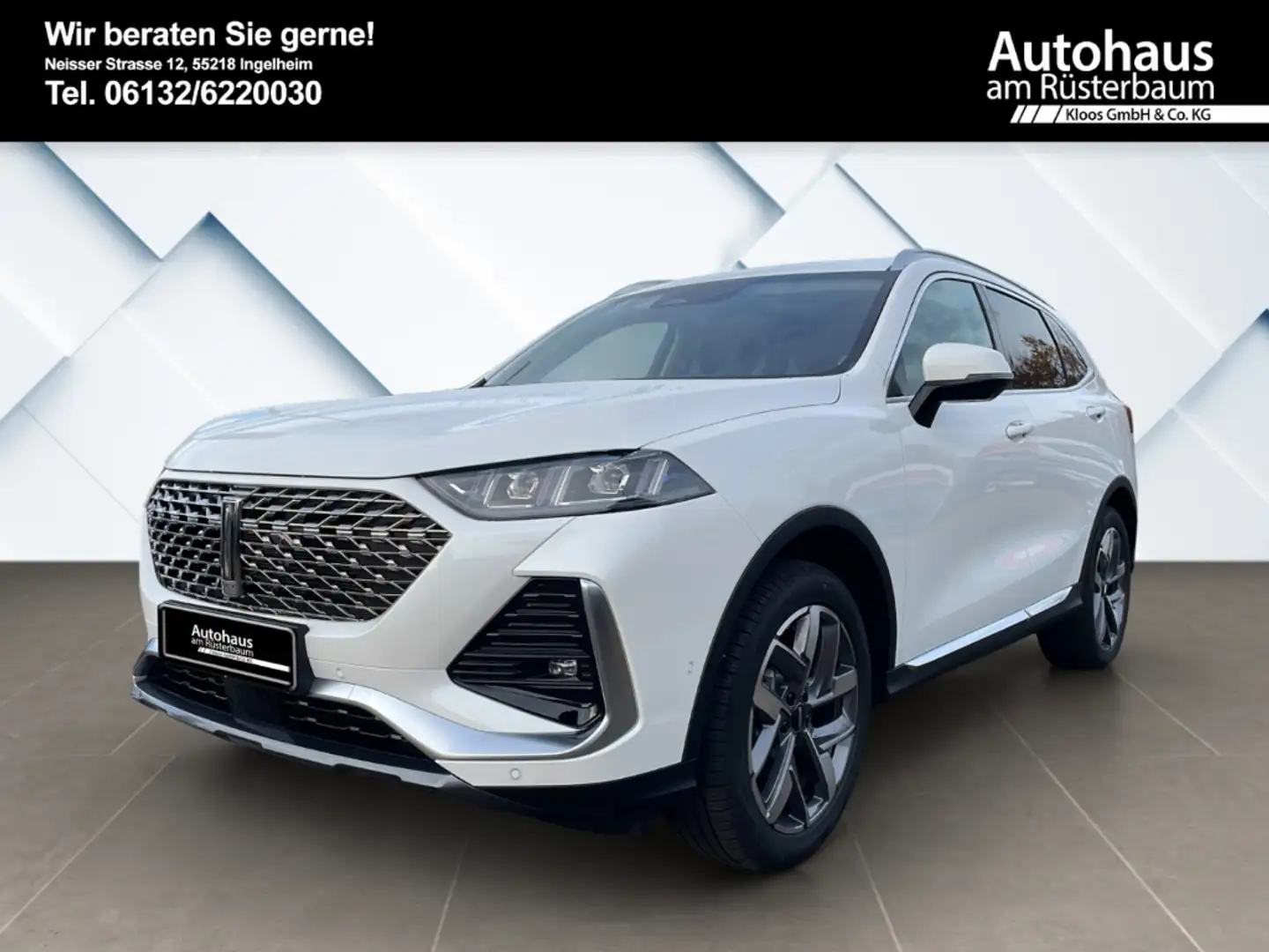 GWM WEY 03 2.0 PHEV 270 kWEU6d Luxury 4WD HUD El. Panodach Na Blanc - 2
