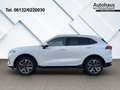GWM WEY 03 2.0 PHEV 270 kWEU6d Luxury 4WD HUD El. Panodach Na Blanc - thumbnail 3