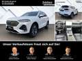 GWM WEY 03 2.0 PHEV 270 kWEU6d Luxury 4WD HUD El. Panodach Na Blanc - thumbnail 1