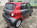 smart forFour forfour Basis 66 kW 0,9 Turbo KLIMA*PANO Rot - thumbnail 6