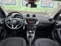 smart forFour forfour Basis 66 kW 0,9 Turbo KLIMA*PANO Rot - thumbnail 7