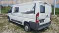 Fiat Ducato 2.2 L1H1 *vorbereiteter Camper* Blanc - thumbnail 7