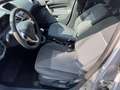 Ford Fiesta 1.4 97CV Business GPL*EURO5*NEOPATENTATI Grigio - thumbnail 7