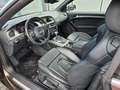 Audi A5 Cabriolet 2.0 TDI/Xenon Plus/Leder/Sound Syst Braun - thumbnail 5