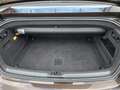 Audi A5 Cabriolet 2.0 TDI/Xenon Plus/Leder/Sound Syst Braun - thumbnail 12