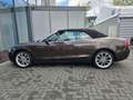 Audi A5 Cabriolet 2.0 TDI/Xenon Plus/Leder/Sound Syst Braun - thumbnail 13