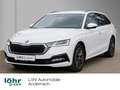 Skoda Octavia Combi 2.0 TDI DSG Clever Weiß - thumbnail 1